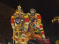 Srirangam Renganathar Horse Vahanam