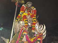 Srirangam Renganathar Garuda Vahanam